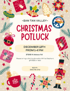 STV Christmas Potluck